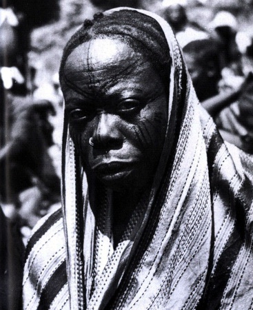 lamina 31.jpg